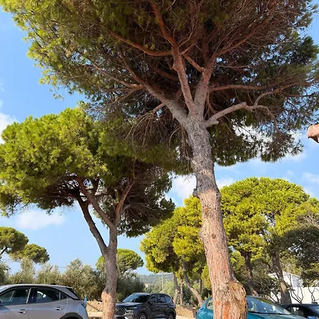 Porto Roma Seaside