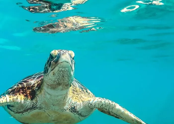 Hotell Porto Roma Seaside *